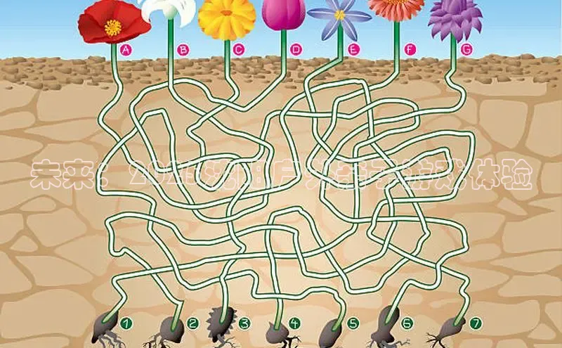 未来：2025沈阳户外亲子游戏体验